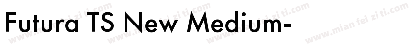 Futura TS New Medium字体转换